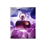 Supremacy Purple — image 3